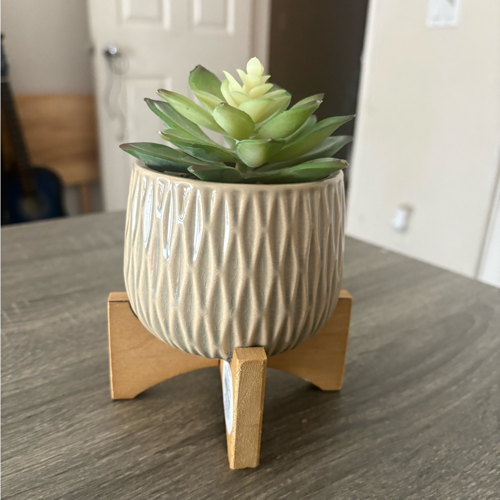 Elegant Cream Planter with Wooden Stand
